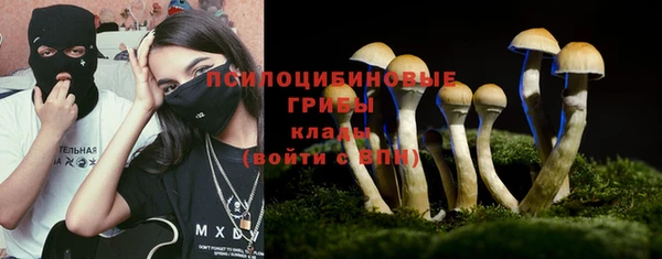 прущие грибы Абаза