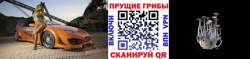 Псилоцибиновые грибы ЛСД где продают Агрыз